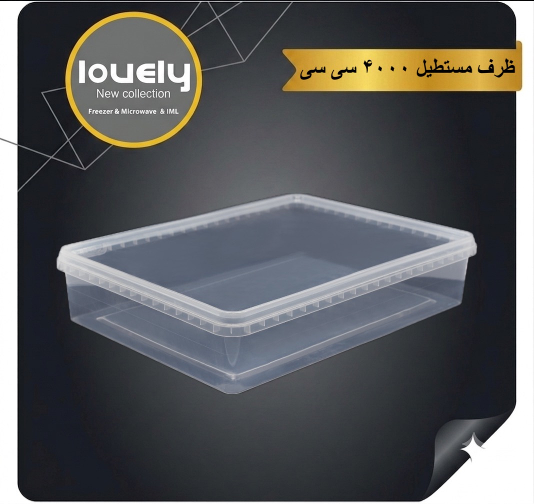 ظرف مستطیل ۴۰۰۰ سی سی ماکروویوی (LOVELY) پلمپ دار